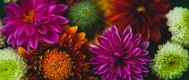 教练来指导 教练来指导