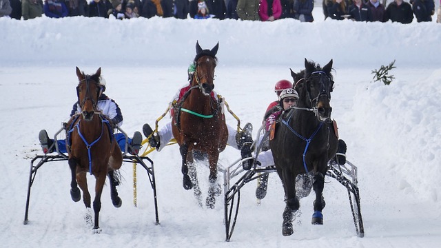 僅讓我們見 僅讓我們見