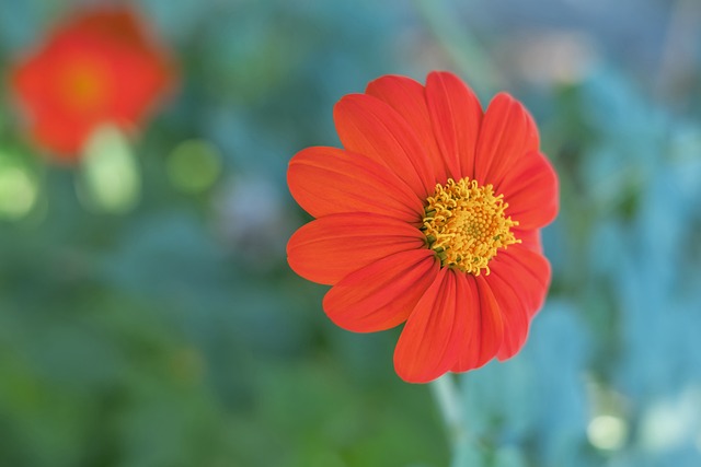 关键作用 关键作用