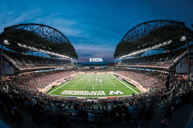 玉米市场的 玉米市场的