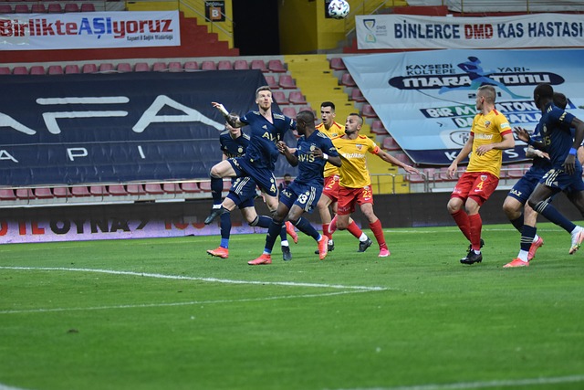 这显示出 这显示出