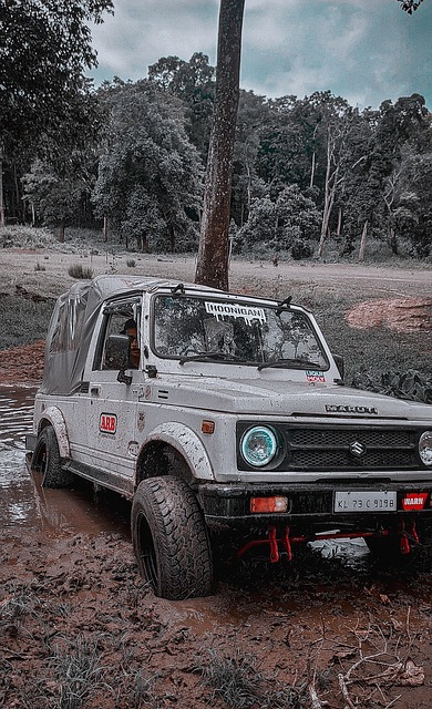 亚拉的配合 亚拉的配合