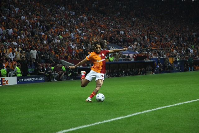 守上的一些 守上的一些