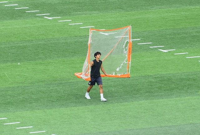 借鉴的